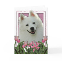 Mothers Day - Pink Tulips - American Eskimo