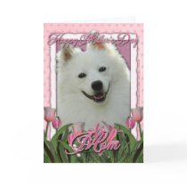 Mothers Day - Pink Tulips - American Eskimo