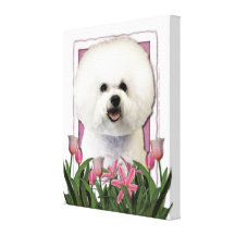 Mothers Day - Pink Tulips - Bichon Frise Canvas Print