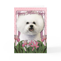 Mothers Day - Pink Tulips - Bichon Frise