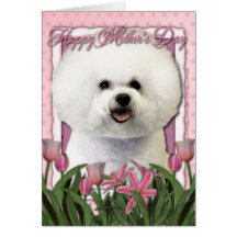 Mothers Day - Pink Tulips - Bichon Frise Greeting Cards