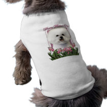 Mothers Day - Pink Tulips - Bichon Frise