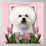 Mothers Day - Pink Tulips - Bichon Frise Posters