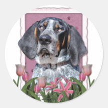 Mothers Day - Pink Tulips - Bluetick Coonhound Round Stickers