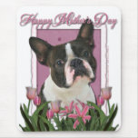 Mothers Day - Pink Tulips - Boston Terrier
