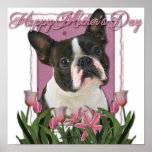 Mothers Day - Pink Tulips - Boston Terrier Poster