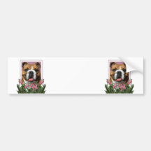Mothers Day - Pink Tulips - Bulldog Bumper Sticker