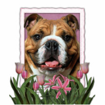 Mothers Day - Pink Tulips - Bulldog Photo Sculpture