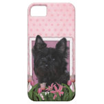Mothers Day - Pink Tulips - Cairn Terrier - Rosco