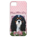 Mothers Day - Pink Tulips - Cavalier - Tri-Colour