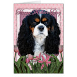 Mothers Day - Pink Tulips - Cavalier - Tri-Colour Card