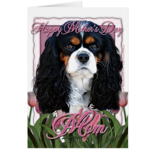 Mothers Day - Pink Tulips - Cavalier - Tri-Colour Cards