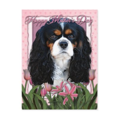 Mothers Day - Pink Tulips - Cavalier - Tri-Color Postcards