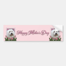 Mothers Day - Pink Tulips - Coton de Tulear Bumper Sticker