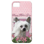 Mothers Day - Pink Tulips - Crestie - Kahlo