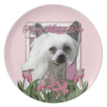 Mothers Day - Pink Tulips - Crestie - Kahlo Party Plates