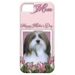 Mothers Day - Pink Tulips - Havanese