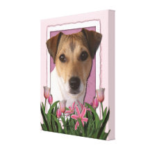 Mothers Day - Pink Tulips - Jack Russell Stretched Canvas Print