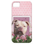 Mothers Day - Pink Tulips - Pitbull - Jersey Girl