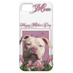 Mothers Day - Pink Tulips - Pitbull - Jersey Girl