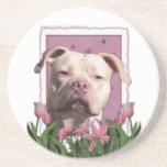 Mothers Day - Pink Tulips - Pitbull - Jersey Girl Beverage Coaster