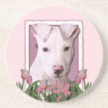 Mothers Day - Pink Tulips - Pitbull Puppy - Petey Coaster