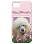 Mothers Day - Pink Tulips - Poodle - Apricot