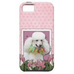 Mothers Day - Pink Tulips - Poodle - White