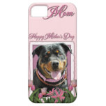 Mothers Day - Pink Tulips - Rottweiler - SambaParT