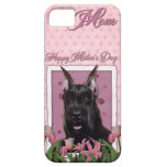 Mothers Day - Pink Tulips - Schnauzer