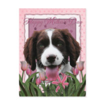 Mothers Day - Pink Tulips - Springer Spaniel