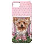 Mothers Day - Pink Tulips - Yorkshire Terrier