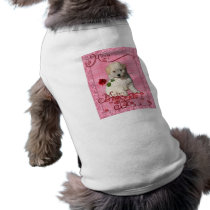 Mothers Day - Red Rose - Bichon Frise