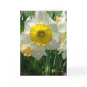 Mother's Sacrifice cards