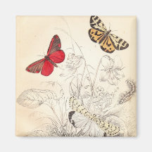 Moths and Butterflies Fridge Magnet