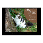 Motivation Life Lessons From a Cat ACEO Art Cards business cards