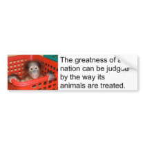 Motivational Gandhi Animal Quote Bumper Stickers