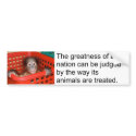 Motivational Gandhi Animal Quote bumper stickers