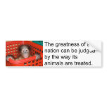 Motivational Gandhi Animal Quote bumper stickers