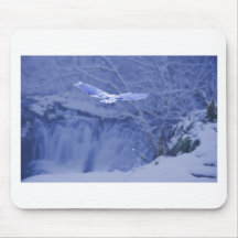 Moulton Falls Washington - Snowy Owl Spirit Mousepad