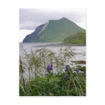 Mount Coxcomb, Unalaska Island