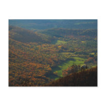 Mount Greylock Foliage View Post Card