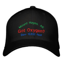 Mount Hayes Alaska Elevation Cap Embroidered Baseball Cap