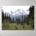Mount Rainier Sunrise posters