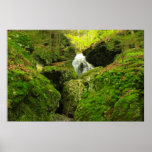 Mount Toby Roaring Falls Mossy Ravine posters
