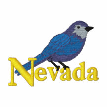 Mountain Bluebird