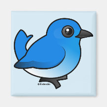 Mountain Bluebird Refrigerator Magnets