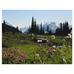 Mountain flowers in bloom, British Columbia, Canad Flyer Design