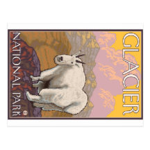 Mountain Goat - Glacier National Park, MT Postcard