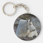 mountain goat key chain